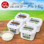 球磨の恵み ヨーグルト 加糖 砂糖不使用 1000g×各2個セット…