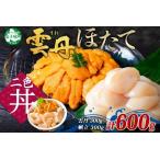 ふるさと納税 うに 300g ホタテ 300g 海鮮2種セット チリ産雲丹 ウニ ほたて 帆立 北海道 3341 北海道弟子屈町