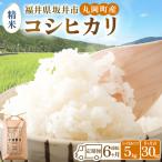 コシヒカリ5kg×6回 合計30kg