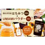 015-519 はちみつ と UMAMI パウダー
