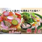 じゃこ天真鯛1尾セット