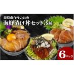 漬け丼3種セット 3種セット