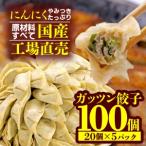 ふるさと納税 餃子 にんにく 100個 20個 5パック ジューシー 冷凍 個分け ガッツン餃子 松福 国産 豚肉 おつまみ （ 餃子 ガッツン餃子 餃子100.. 静岡県沼津市