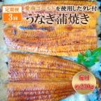 定期便 3回 四万十うなぎ 230g×3回