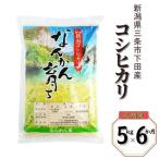 コシヒカリ 下田産 こしひかり 計30kg