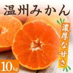 湯の花 季節の温州みかん10kg箱