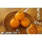 湯の花 ポンカン10kg箱セット