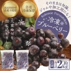 冷凍 ブルーベリー 約2kg