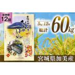 米 令和5年 ひとめぼれ 5kg×12回