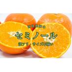 ふるさと納税 セミノール わけあり 訳あり ご家庭用 家庭用 不揃い みかん 蜜柑 柑橘 4.5kg / 2級果 サイズ不揃い 訳あり ご家庭用 西地農園のセ.. 三重県紀宝町