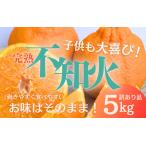 ふるさと納税 わけあり 訳あり 家庭用 ご家庭用 不知火 みかん 蜜柑 デコポン 柑橘 フルーツ 果物 / たにぐち農園の完熟不知火 ご家庭用 ちょこ.. 三重県紀宝町