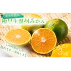 みかん たにぐち農園の極早生温州みかん
