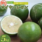 レモン 訳あり マイヤーレモン はぎファーム 5kg