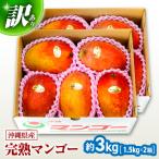 マンゴー 訳あり 完熟マンゴー 約3kg