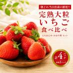 いちご 食べ比べ 4パック
