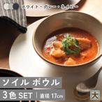 ソイル ボウル 大 3色セット 食器 鉢 盛り鉢