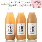 りんごジュース 3本セット アンデルセンファーム