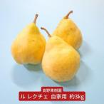 ル レクチェ 自家用 3kg