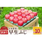 ふるさと納税 【25年10月〜発送】りんご 平均糖度12度以上! 早生ふじ 約10kg 訳あり【先行受付】 青森県弘前市