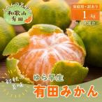 有田育ちのご 青切り有田みかん 約1kg+200g
