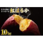 ふるさと納税 【2026年2月より順次発送】★訳あり★ 無選別 行方台地のさつまいも 紅はるか 約10kg｜さつまいも 芋 サツマイモ 紅はるか 訳あり .. 茨城県行方市