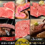 おおいた和牛ステーキ食べ比べ定期便 全3回_B028-015
