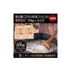 定期便 魚沼産こだわり従来コシヒカリ 毎月10kg×3回
