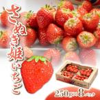 さぬき姫いちご 250g×8パック