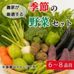 野菜 詰め合わせ セット 6 8種