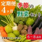 定期便 4回 季節 お楽しみ 野菜 詰め合わせ