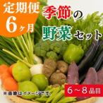 定期便 6回 季節 お楽しみ 野菜 詰め合わせ