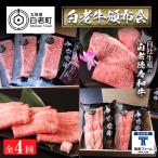 定期便 全4回 白老牛 お楽しみ 頒布会