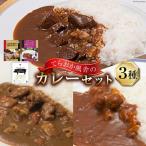 てらおか風舎のカレーセット 能登牛カレー