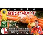 ふるさと納税 【蟹本場 】 越前町からお届け！越前カニ浜茹で中（生で600〜700g）1杯【3月発送】 [e23-x003_03]  福井県越前町