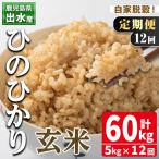玄米 ひのひかり 5kg