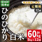 白米 ひのひかり 5kg