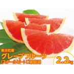 産グレープフルーツ スタールビー ご 6-8玉 約2.2kg