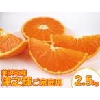津之輝 ご 約2.5kg