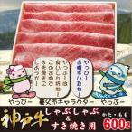 ふるさと納税 神戸牛 しゃぶしゃぶ & すき焼き用 かた ・ もも肉 計600g YBS2【配送不可地域:離島】【1340602】 兵庫県養父市
