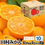 田村みかん 特選 品 10kg