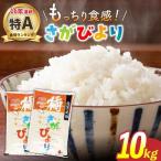 さがびより 白米 10kg