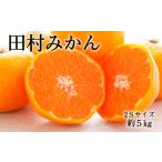 絶品 濃厚田村みかん 秀品 約5kg