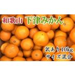 ふるさと納税 【産直】和歌山下津みかん　10kg（訳ありサイズ混合）※2024年11月中旬〜2025年1月中旬頃に順次発送【tec885】 和歌山県すさみ町