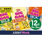 ふるさと納税 【ふるなびWEEK対象】【12/21入金確認分まで年内お届け】カルビー ポテトチップス BIGBAG 160g 3種 各4袋セット (計 12袋 ) うすし.. 茨城県牛久市