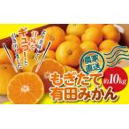 紀州有田みかん 約10kg