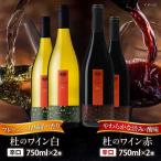 杜のワイン 白 赤 各2本セット