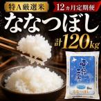 特A厳選米 雪蔵工房ななつぼし 10kg×12回