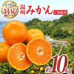 ご 温州みかん約10kg 100-120個