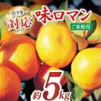 ご 味ロマン約5kg 温州みかん