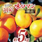 味ロマン約5kg 約50-60個 ー みかん